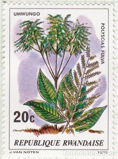 Sellos: 1979 - RWANDA - ARBOLES - POLYSCIAS FULVA - YVERT 878 - Foto 1