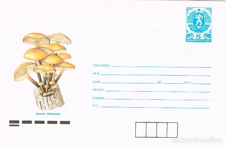 Sellos: Bulgaria, seta, sobre entero postal sin circular - Foto 1