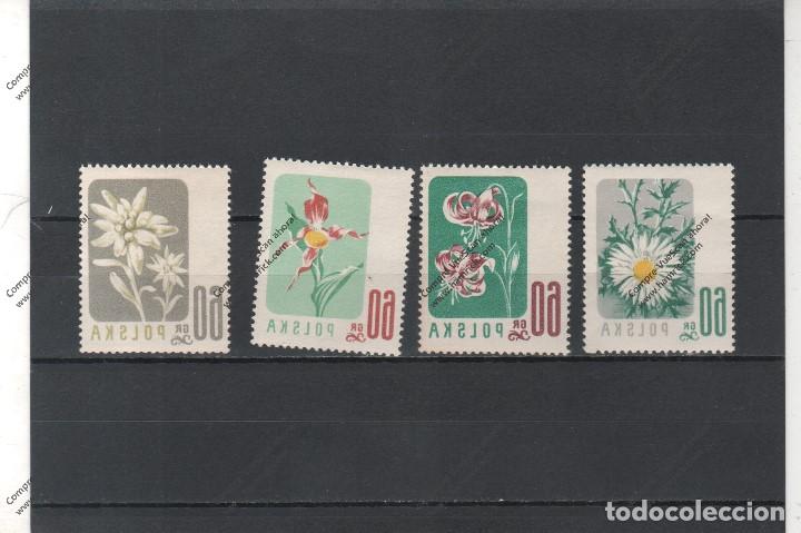 Sellos: POLONIA N&ordm; 904 al 908 (**) - Foto 1