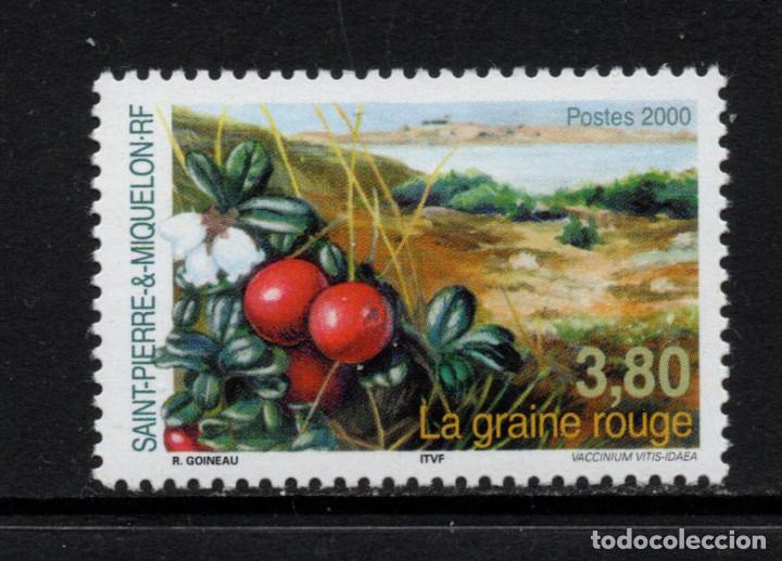 Sellos: SAN PIERRE 710** - A&Ntilde;O 2000 - FLORA - FRUTOS - Foto 1