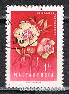 Sellos: HUNGR&Iacute;A N&ordm; 1561, Helebora, usado - Foto 1
