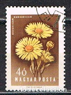 Sellos: HUNGR&Iacute;A N&ordm; 1559, Doronica, usado - Foto 1