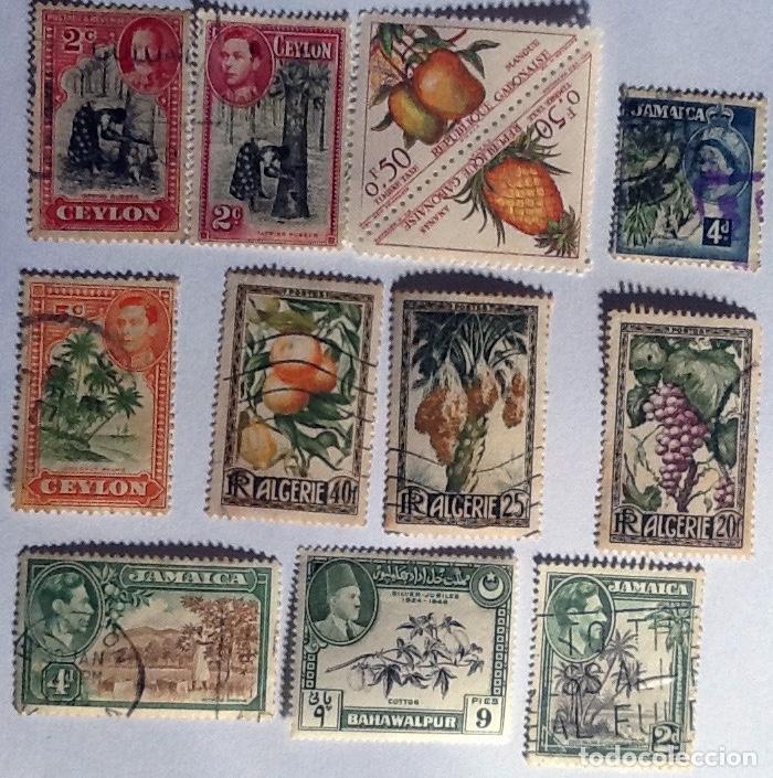 Sellos: LOTE DE 12 SELLOS DE FLORA. - Foto 1
