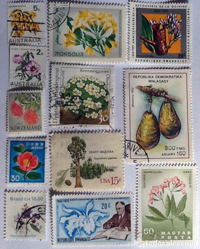 Sellos: LOTE DE 12 SELLOS DE FLORA. - Foto 1