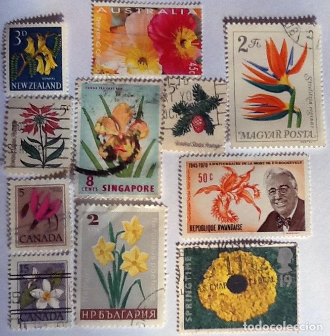 Sellos: LOTE DE 11 SELLOS DE FLORA. - Foto 1