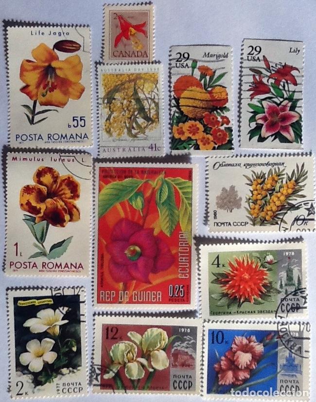 Sellos: LOTE DE 12 SELLOS DE FLORA. - Foto 1