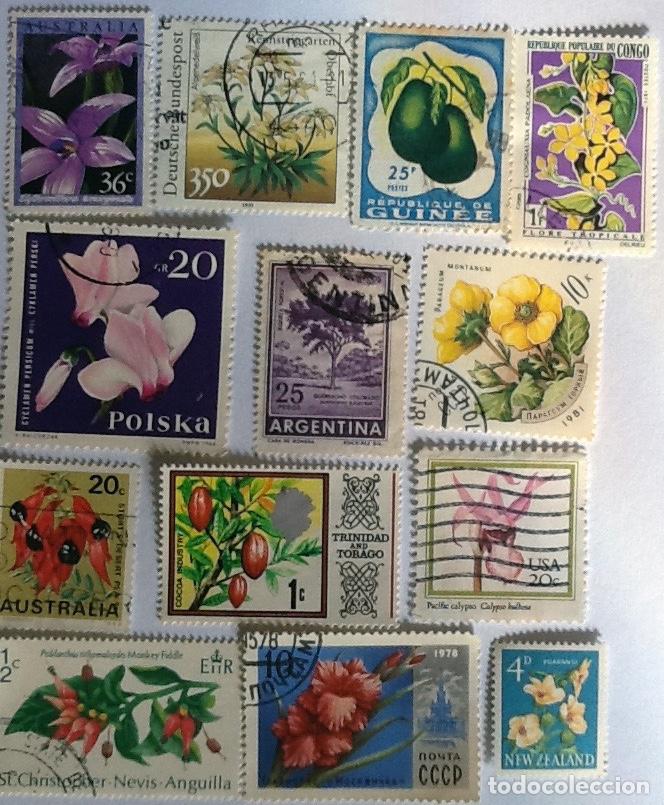 Sellos: LOTE DE 13 SELLOS DE FLORA. - Foto 1