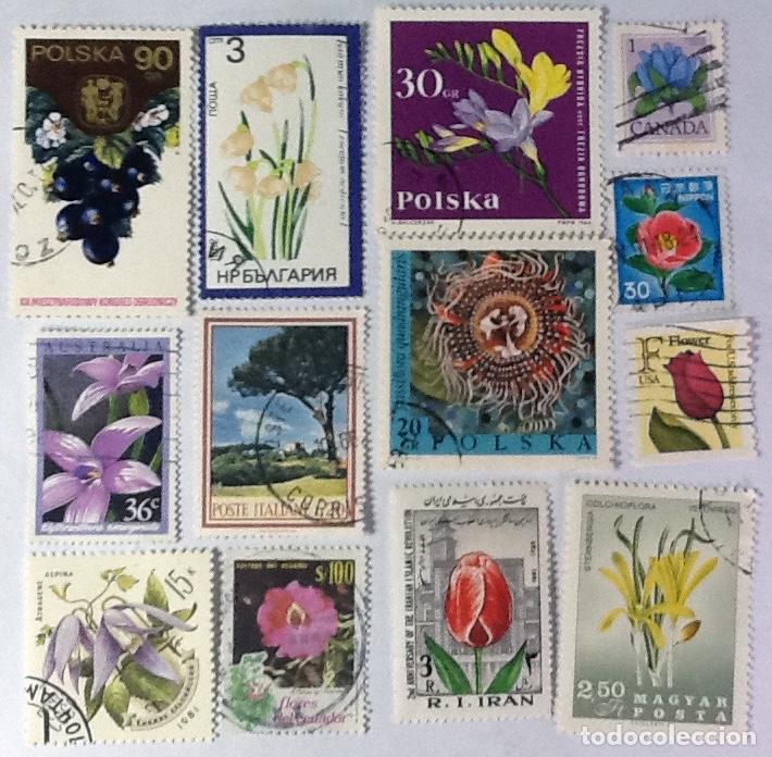 Sellos: LOTE DE 13 SELLOS DE FLORA. - Foto 1