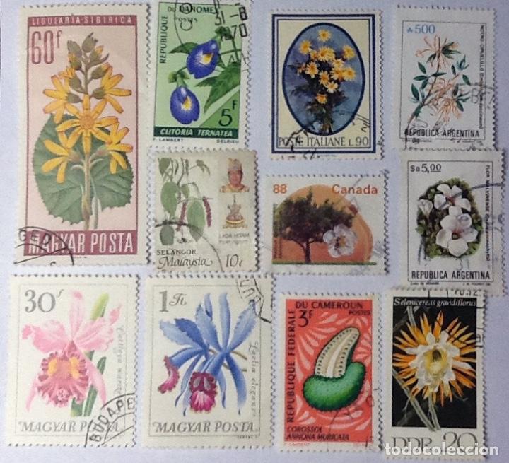 Sellos: LOTE DE 11 SELLOS DE FLORA. - Foto 1
