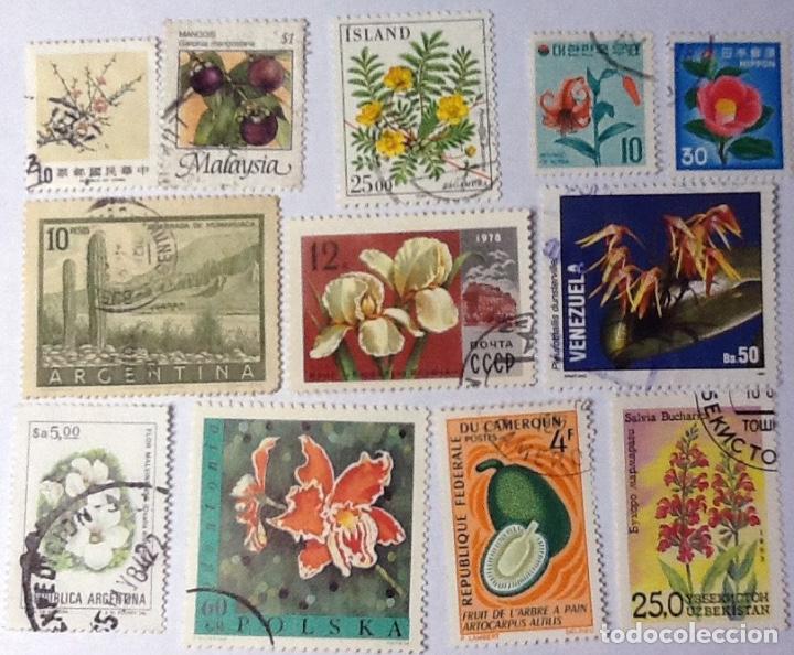 Sellos: LOTE DE 12 SELLOS DE FLORA. - Foto 1