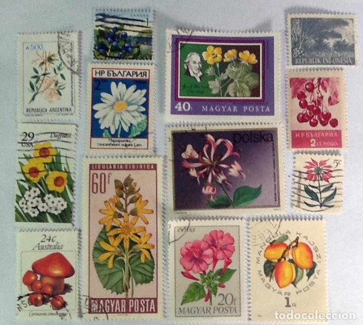 Sellos: LOTE DE 13 SELLOS DE FLORA. - Foto 1