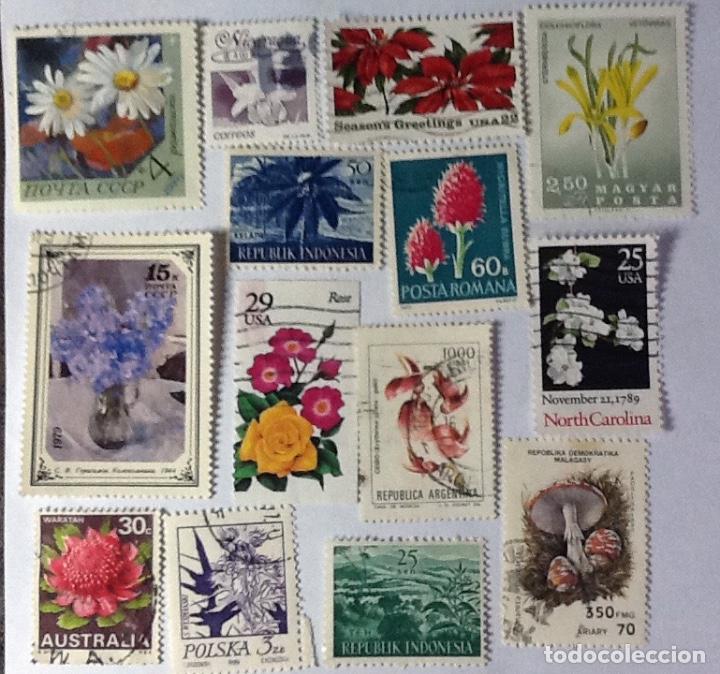 Sellos: LOTE DE 14 SELLOS DE FLORA. - Foto 1