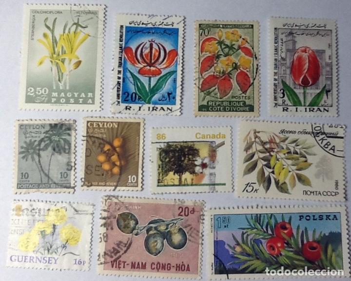 Sellos: LOTE DE 11 SELLOS DE FLORA. - Foto 1
