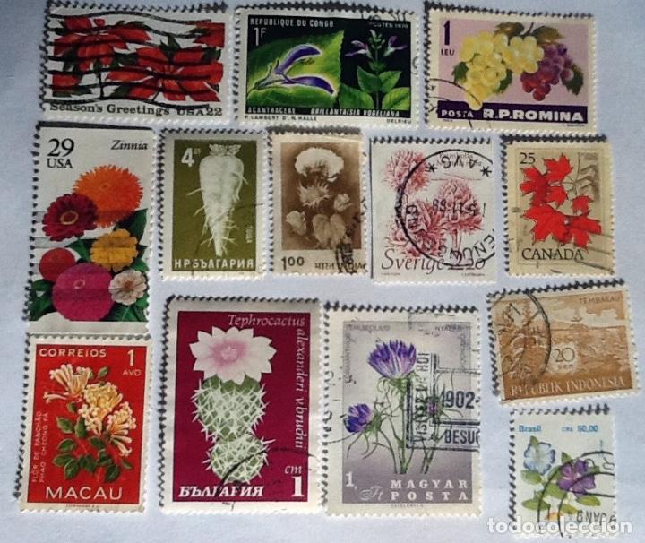Sellos: LOTE DE 13 SELLOS DE FLORA. - Foto 1