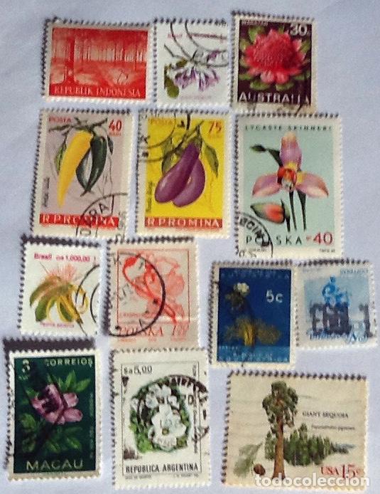 Sellos: LOTE DE 13 SELLOS DE FLORA. - Foto 1
