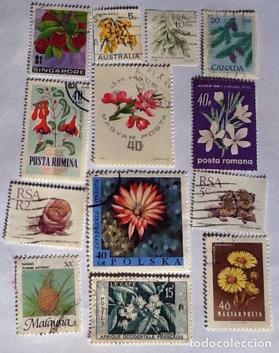 Sellos: LOTE DE 13 SELLOS DE FLORA. - Foto 1