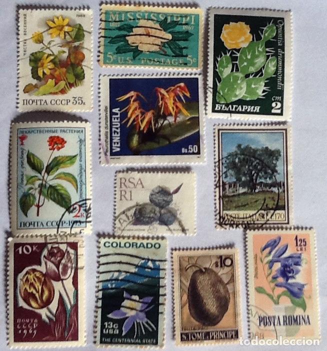 Sellos: LOTE DE 11 SELLOS DE FLORA. - Foto 1