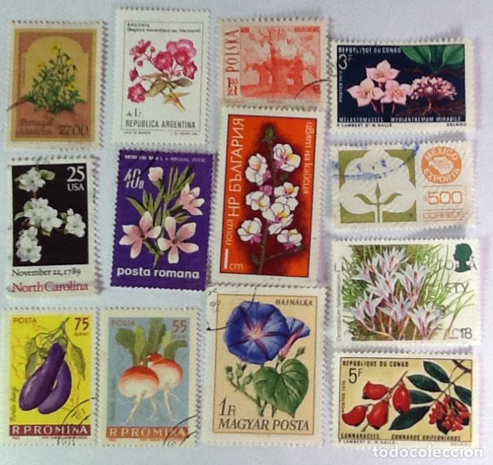 Sellos: LOTE DE 13 SELLOS DE FLORA. - Foto 1