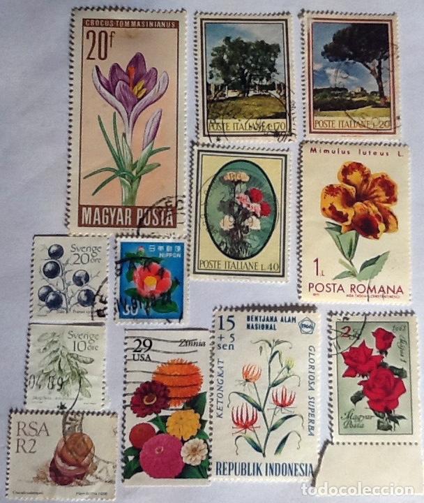 Sellos: LOTE DE 12 SELLOS DE FLORA. - Foto 1
