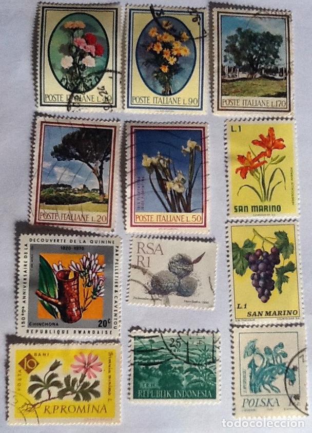 Sellos: LOTE DE 12 SELLOS DE FLORA. - Foto 1