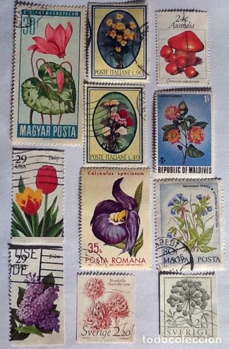 Sellos: LOTE DE 11 SELLOS DE FLORA. - Foto 1