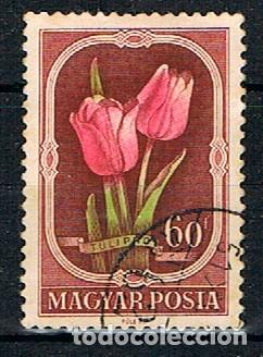 Sellos: Hungria 1233, Tulip&aacute;n, usado - Foto 1