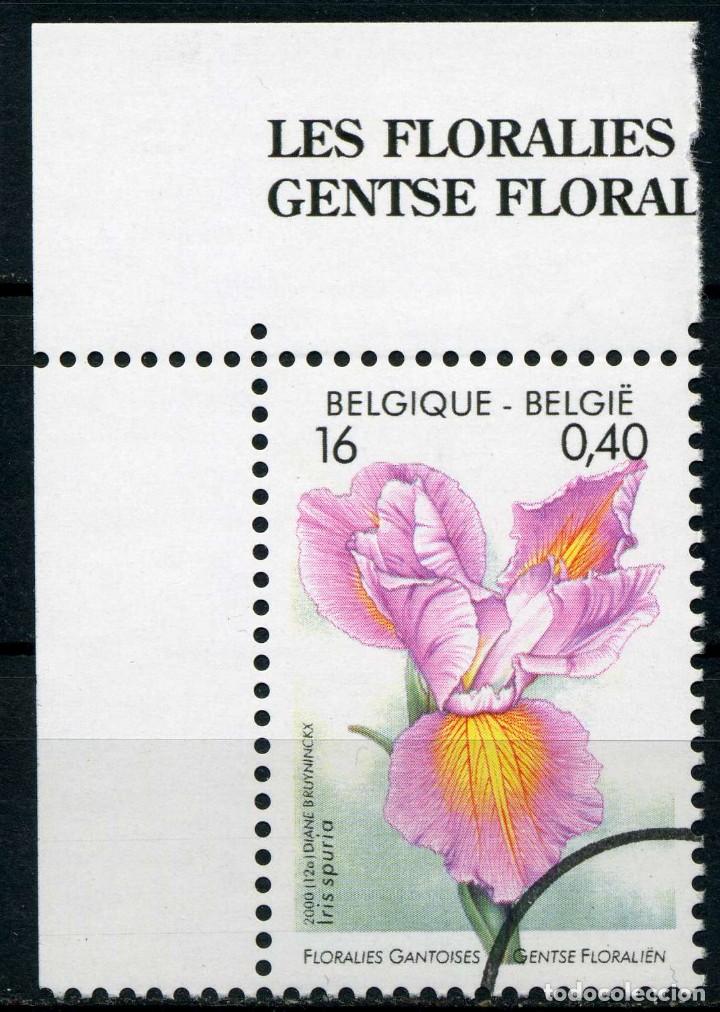 Sellos: B&Eacute;LGICA. 1 MUESTRA CON SEGMENTO - Foto 1