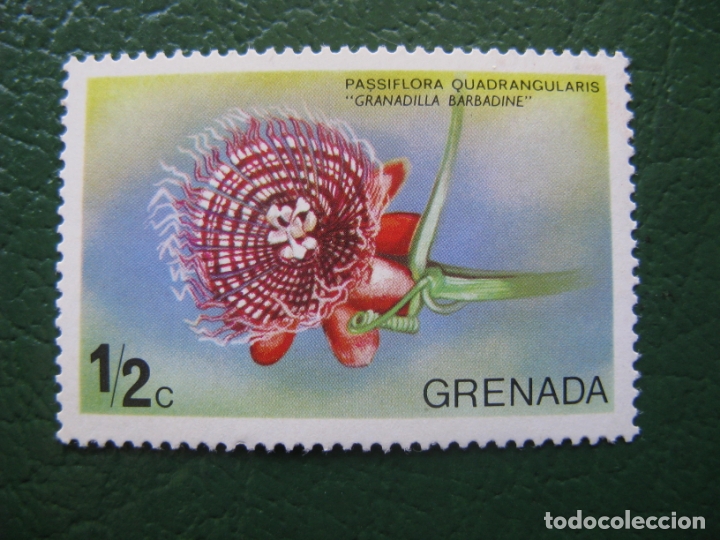 Sellos: grenada, sello nuevo tema flora - Foto 1