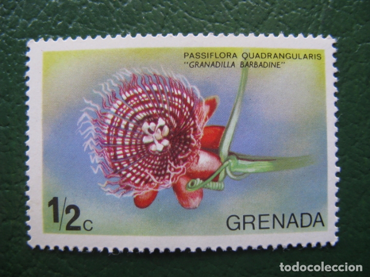 Sellos: grenada, sello nuevo tema flora - Foto 1