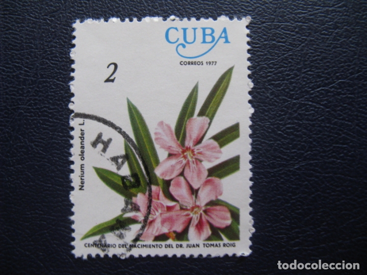 Sellos: cuba, 1977 tema flores - Foto 1
