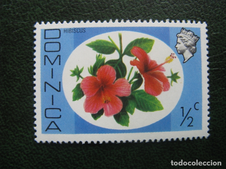 Sellos: dominica, hibiscus, tema flora - Foto 1