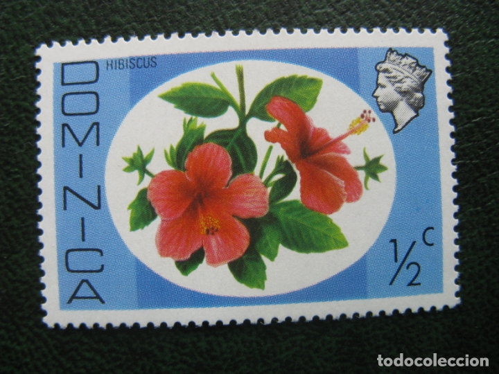 Sellos: dominica, tema flora, hibiscus - Foto 1