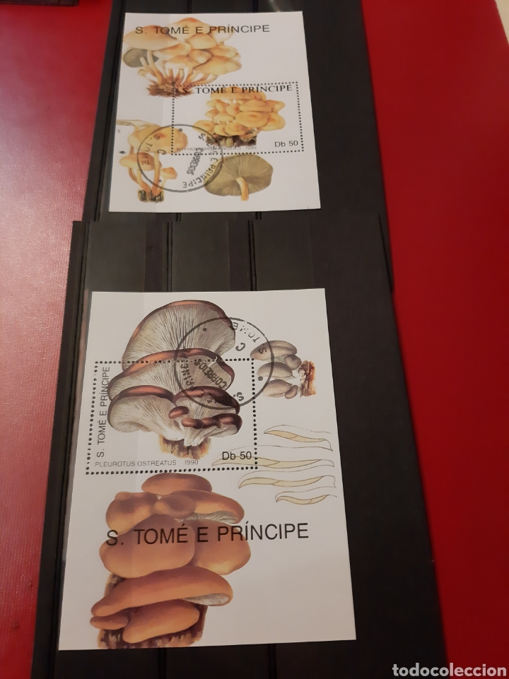 Sellos: 1992 S.Tome e Principe setas - Foto 1