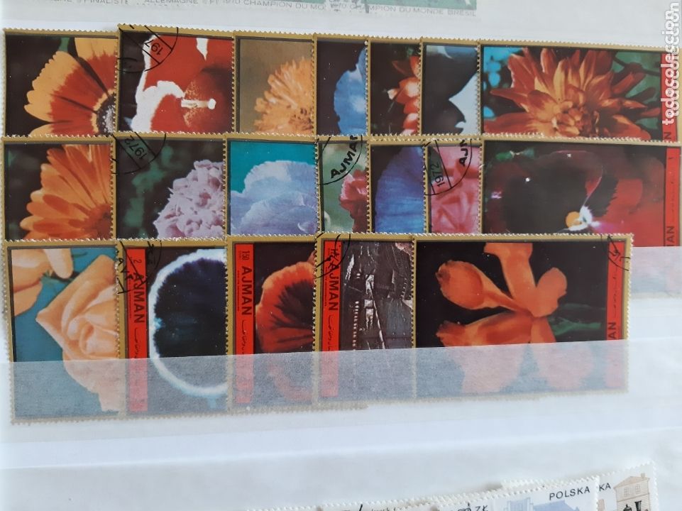 Sellos: Ajman Flores - Foto 1