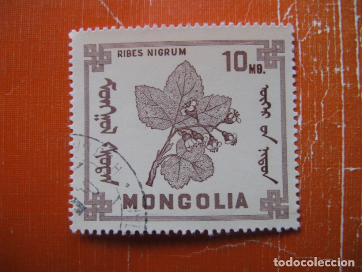 Sellos: mongolia, sello usado tema flora - Foto 1