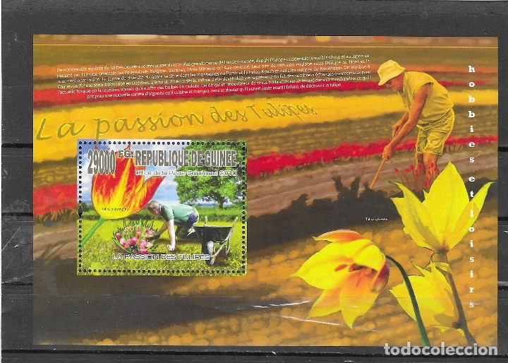Sellos: REPUBLCA DE GUINEA N&ordm; A&Ntilde;O 2010 (**) - Foto 1