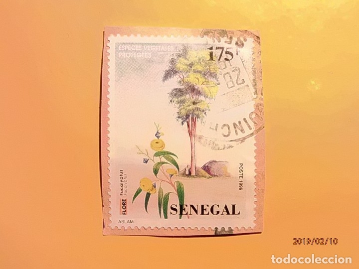 Sellos: SENEGAL - &Aacute;RBOL - EUCALYPTUS. - Foto 1