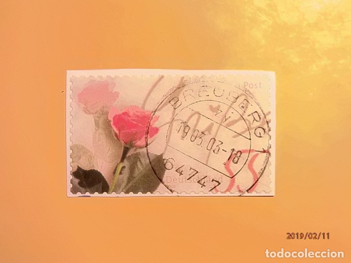 Sellos: ALEMANIA 2003 - FLORA - ROSA. - Foto 1