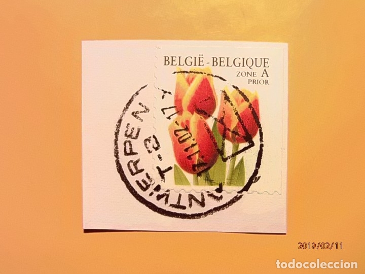 Sellos: B&Eacute;LGICA - FLORA - TULIP&Aacute;N. - Foto 1