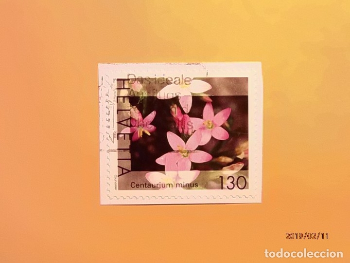 Sellos: SUIZA - FLORA - CENTAURIUM MINUS. - Foto 1