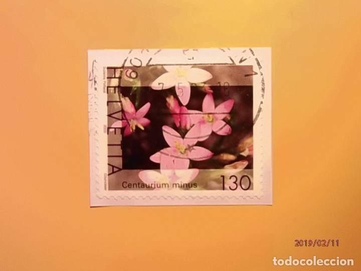 Sellos: SUIZA - FLORA - CENTAURIUM MINUS. - Foto 1