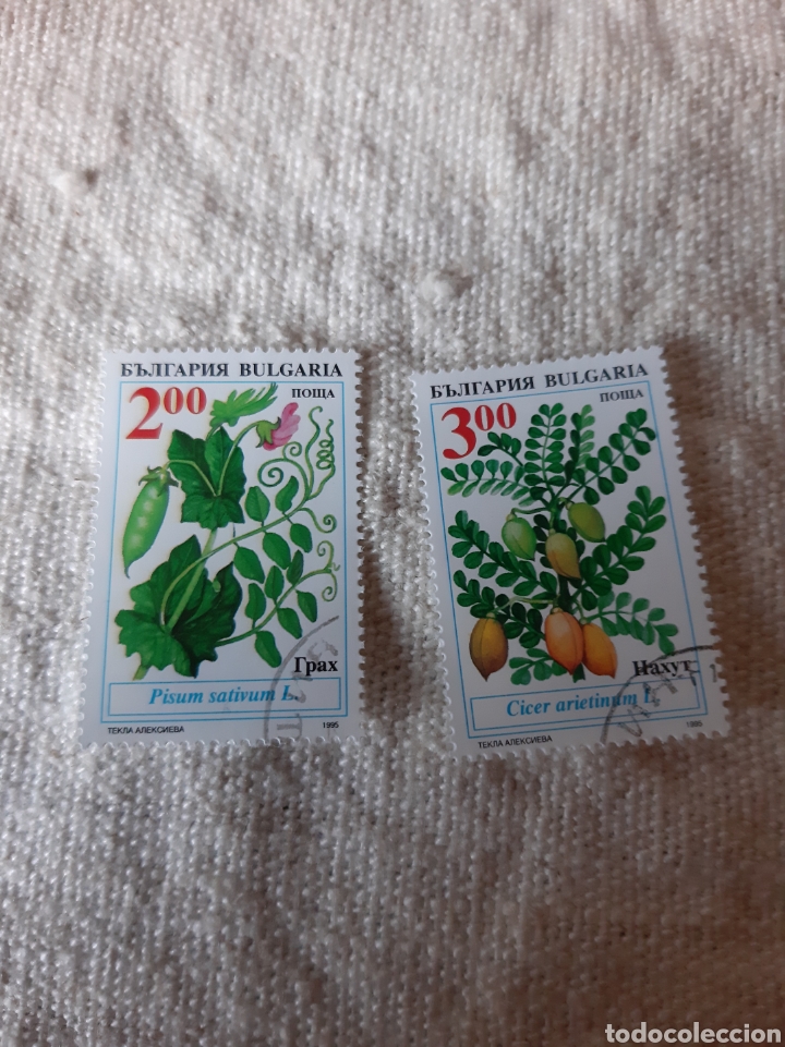Sellos: Bulgaria plantas - Foto 1