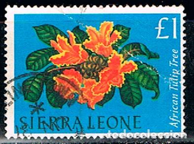 sierra leona nº 240, tulipanero africano, usado - Comprar Sellos antiguos  flora en todocoleccion - 198622165