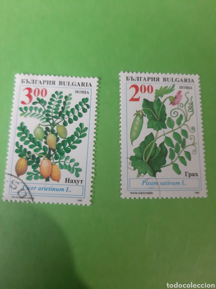 Sellos: Bulgaria flora - Foto 1