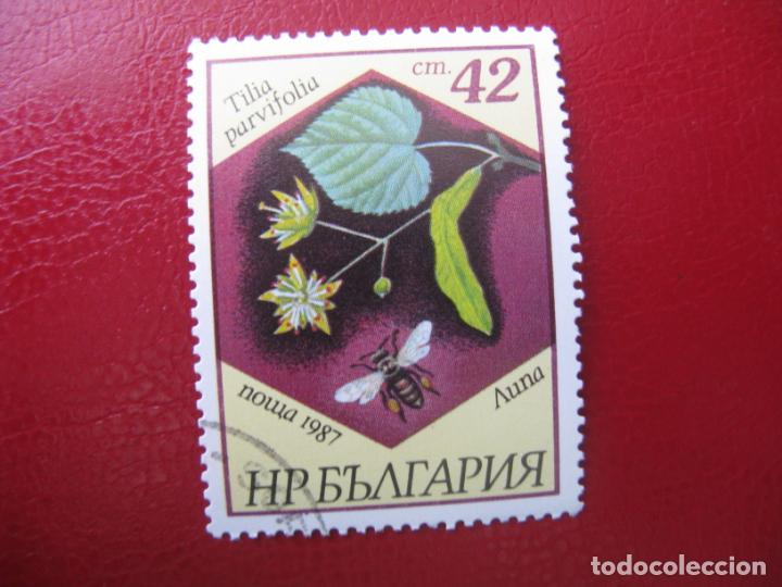 Sellos: +bulgaria 1987, flora, Yvert 3107 - Foto 1