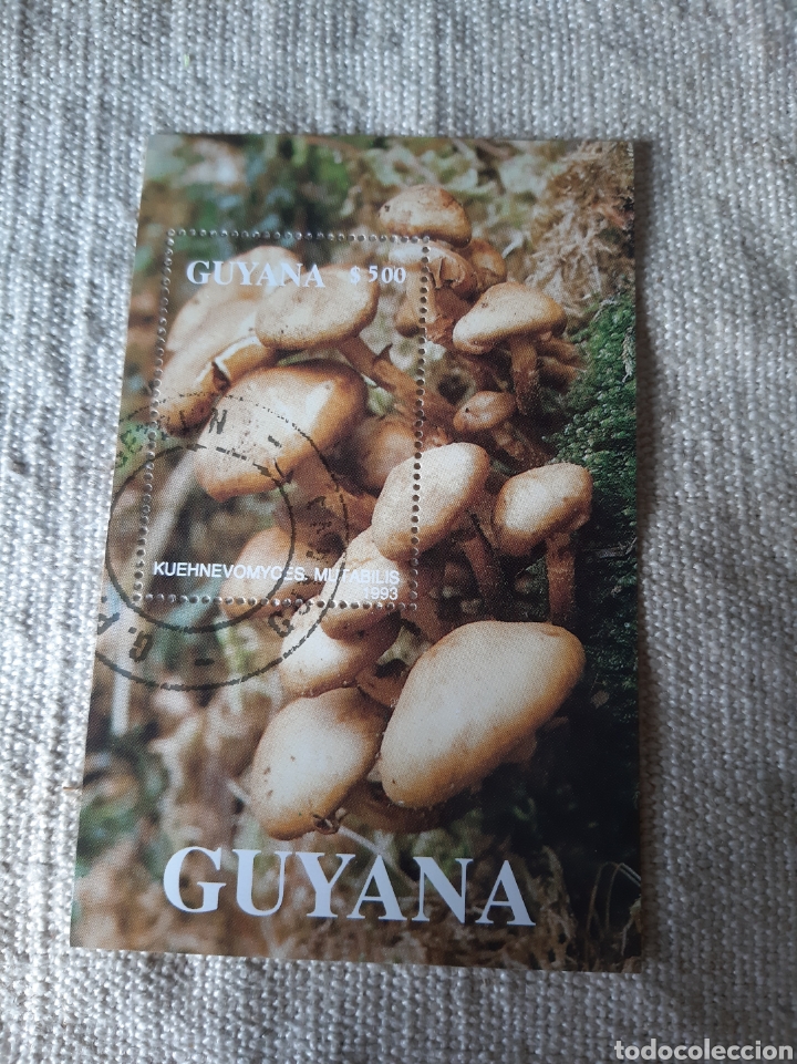 Sellos: SETAS GUAYANA HOJA BLOQUE USADA FLORA SETAS - Foto 1