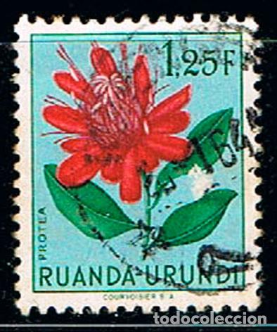 Sellos: RUANDA URUNDI N&ordm; 138 Protea, usado - Foto 1