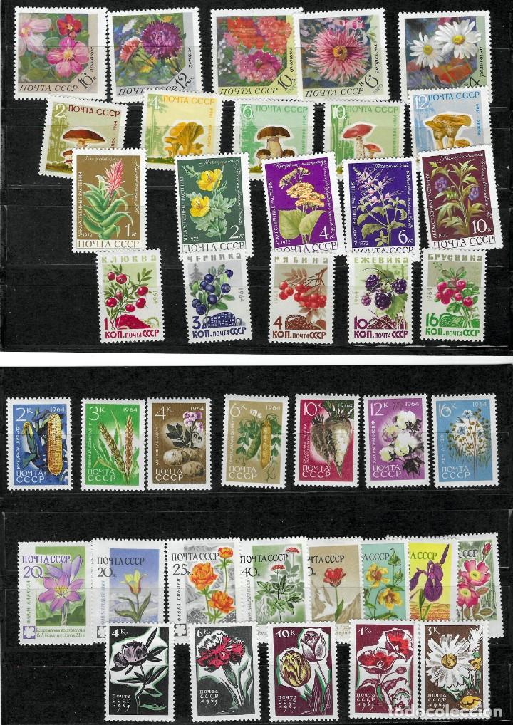 Sellos: RUSSIA LOTE P (*) - Foto 1