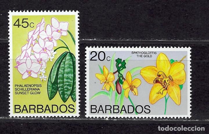 Sellos: BARBUDA N&ordm; - Foto 1