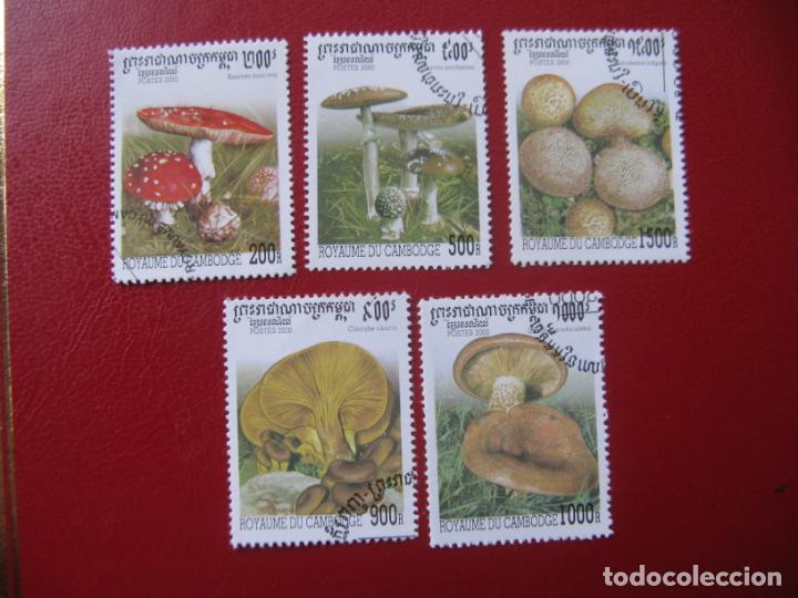 Sellos: +camboya, 2000, 5 sellos tema micolog&iacute;a - Foto 1